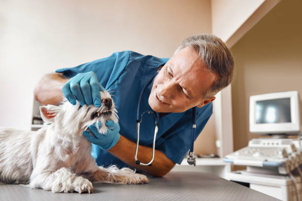 Best Walk-In Emergency Dentist in Nashville, TN